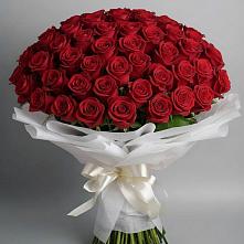 Букет 101 Красная роза Блэк Мэджик в Правокумском