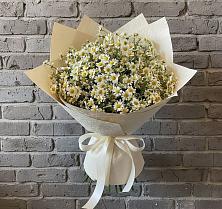 Букет цветов из:  Ромашки в Правокумском