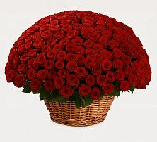 Премиум букет из: Розы в Правокумском