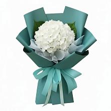Букет цветов из:  Гортензия #REPLACE_PRED# Правокумском